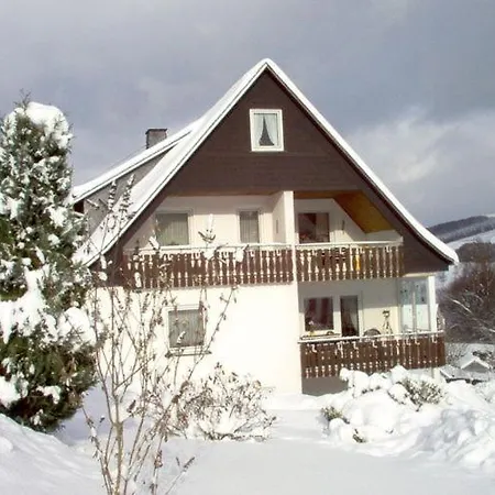 Charming In Sellinghausen Sauerland Near Ski Area דירה *